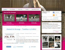 Tablet Screenshot of connivence.org